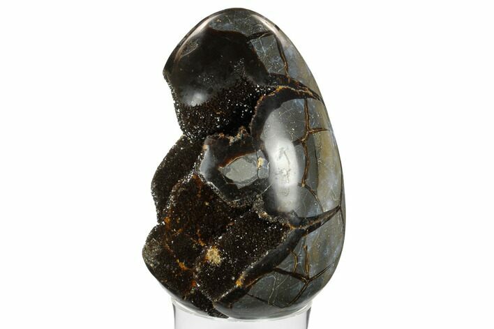 Septarian Dragon Egg Geode - Black Crystals #172817